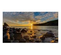 Samsung Dis Public compatibile IF015R LED PARETE