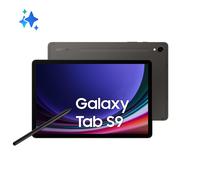 Samsung Galaxy Tab S9 SM-X716B 5G Qualcomm Snapdragon 256 GB 27,9 cm (11") 12 GB Wi-Fi 6 (802.11ax) Android 13 Grafite