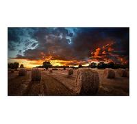 Samsung LH46VMBUBGBXEN espositore video da parete LCD Interno [LH46VMBUBGBXEN]