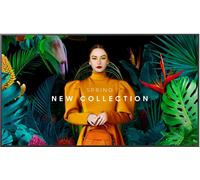 Samsung QB65C 65" Display