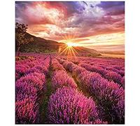 Monitor Videowall Samsung LH025IFHBAS/EN 50-60 Hz
