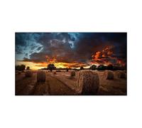 Samsung TV 46" Full HD Nero con tecnologia IPS e risoluzione 1920 x 1080