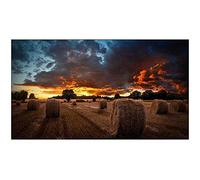 Samsung VM46B-U LCD Interno