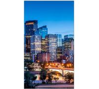 Samsung VM55B-E Interno [LH55VMBEBGBXEN]