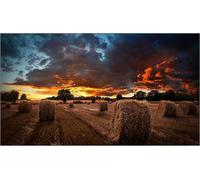 Samsung vm55b-u 55" display