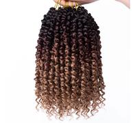 Samtress 10 Inch Passione Twist Crochet Hair 8 Pack Pre-looped Short Bob Passione Twists Hair Pret wisted Passione Twist Crochet Braids Hair Extensions for Women (#1B/30/27)