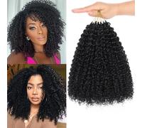 Samtress 10 Inch Pre Looped Micro Curly Twist Crochet Hair Synthetic 8 Pack Black Micro Twist Kinky Curly Crochet Braids Yanky Twist Hair Extensions for Black Women (#1B)