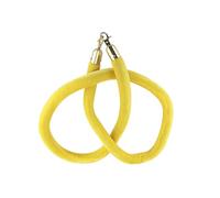 Samtseil - Set di 2 corde di velluto per coda da 100 cm, con ganci dorati, per matrimoni, inaugurazioni, eventi, hotel, accessori di sicurezza