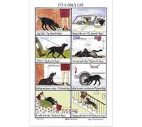 Samuel Lamont - Strofinaccio, Taglia Unica, Multicolore