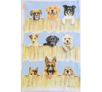 Samuel Lamont - Strofinaccio, Taglia Unica, Multicolore