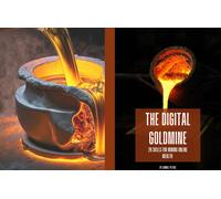 Samuel Peters The Digital Goldmine: 20 Skills for mining Online Succ (Tascabile)