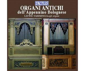 Samuel Scheidt Organi Antichi Dell' Appennino Bolognese (CD) Album