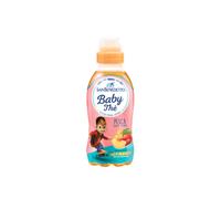 SAN BENEDETTO THE ALLA PESCA DETEINATO 24 X 25 CL