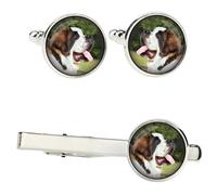 San Bernardo set di mollette in una scatola con immagine Art-Dog