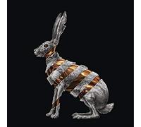 San Fermin - Jackrabbit