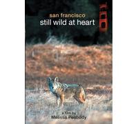 San Francisco--Still Wild At Heart
