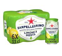 San Pellegrino Citron Menthe 33cl (pack de 6)