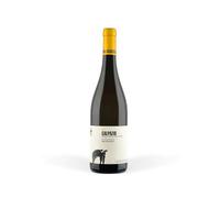 San Salvatore Calpazio 2023, Vino Bianco Campania, Vino Greco 100%, Paestum IGT, 13% vol, 750 ml