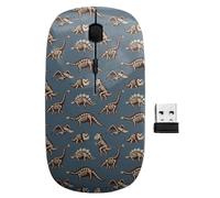 sanacci Mouse wireless USB da 2,4 GHz, motivo con dinosauri fossili, ergonomici e sottili, per bambini