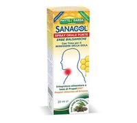 SANAGOL SPRAY FORTE ERBE BALSAMICHE 20 ML