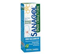 SANAGOL SPRAY FORTE ERBE BALSAMICHE 20 ML