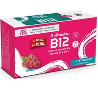 SANAVITA B Vita B12 15Fl.