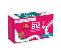 SANAVITA B VITAMINS B12 15 FLACONCINI