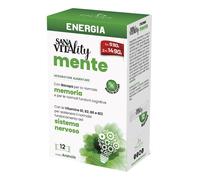 Sanavitality Energia Mente Stick Pack 5x1 St