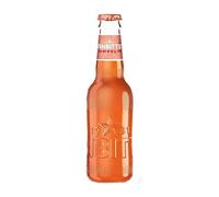 SANBITTER POMPELMO CL.20X4