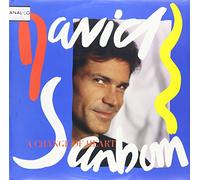 Sanborn, David - Change of Heart
