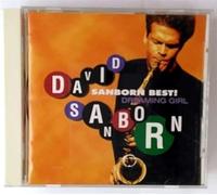 Sanborn, David - Dreaming Girl Sanborn Best!