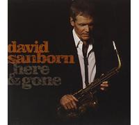 Sanborn, David - Here & Gone