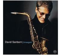 Sanborn, David - Timeagain