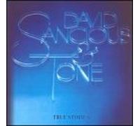 Sancious, David & Tone - True Stories