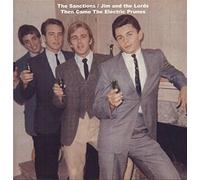 Sanctions - Then Came the Electric Prunes