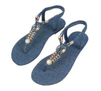 Sandali da donna Estate Nuovo Stile Romano Scarpe Fairy Cento Corrispondenti Piatto A Spina Di Pesce Clip Piedi Infradito Donne, Blu, 38.5 EU