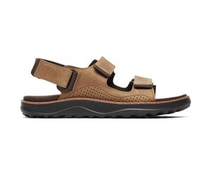 Sandali da uomo Merrell Cove Ltr Backstrap M Misura delle scarpe (EU): 46 / Colore: marrone