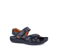 Sandali Pikolinos Tarifa Noir 40