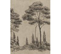 Sandberg Carta da parati panoramica Andrea - Graphite