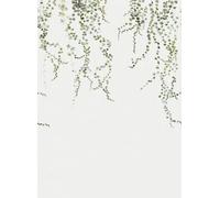 Sandberg Carta da parati panoramica Aralia - Moss-Green