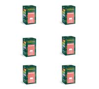 Sandemetrio Tisana alla Melagrana, 96 Capsule Compatibili con A Modo Mio®, Premium Selection