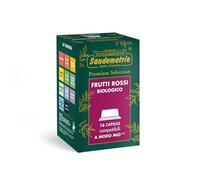 Sandemetrio Tisana Frutti Rossi, 16 Capsule Compatibili con A Modo Mio®, Premium Selection