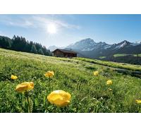 Sanders & Sanders fotomurale Alpi verde e blu 400 x 280 cm