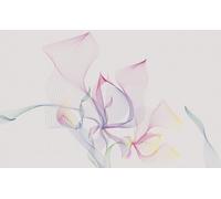 Sanders & Sanders fotomurale artistico multi colore su bianco 400 x 250 cm