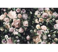 Sanders & Sanders fotomurale fiori multi colore su nero 400 x 250 cm