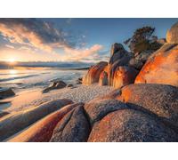 Sanders & Sanders fotomurale spiaggia colore sabbia, blu e arancia caldo 400 x 280 cm