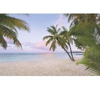 Sanders & Sanders fotomurale spiaggia verde, blu e colore sabbia 400 x 250 cm