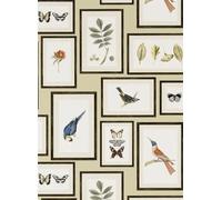 Sanderson Carta da parati Picture Gallery - Sand/ Multi