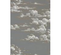 Sanderson Carta da parati Silvi Clouds - Taupe Grey