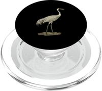 Sandhill Crane Antigone Canadensis Bird si riferisce al Nord America PopSockets PopGrip per MagSafe